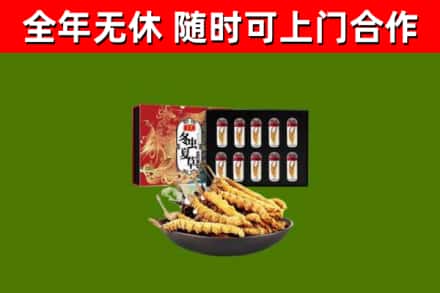 射洪市回收冬虫夏草价格